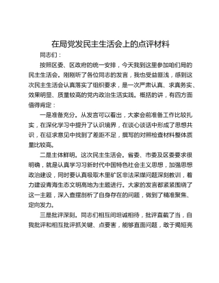 在局党发民主生活会上的点评材料