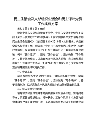 民主生活会及支部组织生活会和民主评议党员工作实施方案
