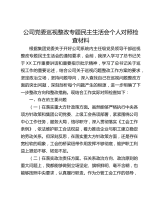 公司党委巡视整改专题民主生活会个人对照检查材料