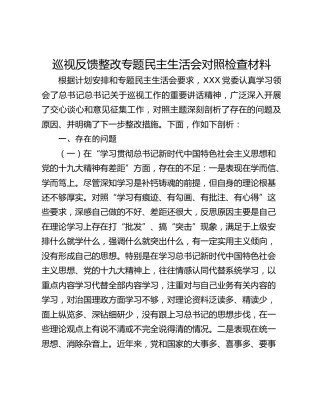 巡视反馈整改专题民主生活会对照检查材料
