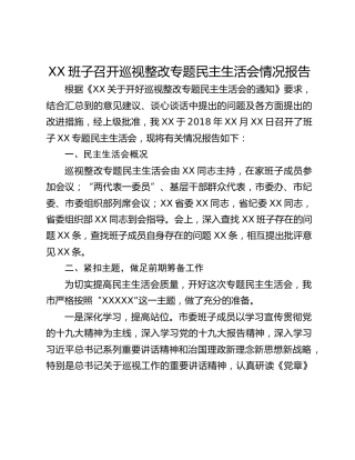 XX班子召开巡视整改专题民主生活会情况报告