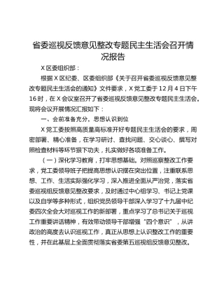 省委巡视反馈意见整改专题民主生活会召开情况报告