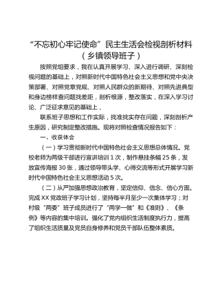 “不忘初心牢记使命”民主生活会检视剖析材料（乡镇领导班子）