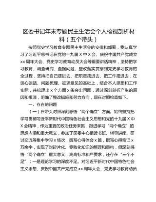 区委书记年末专题民主生活会个人检视剖析材料（五个带头）