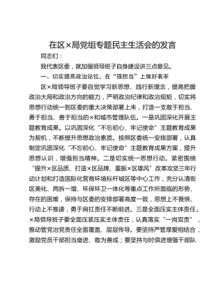 在区×局党组专题民主生活会的发言