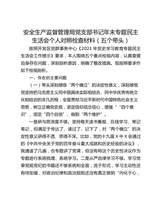 安全生产监督管理局党支部书记年末专题民主生活会个人对照检查材料（五个带头）