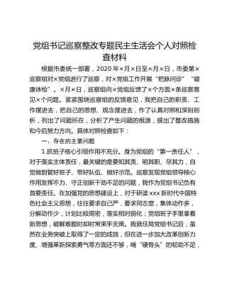 党组书记巡察整改专题民主生活会个人对照检查材料