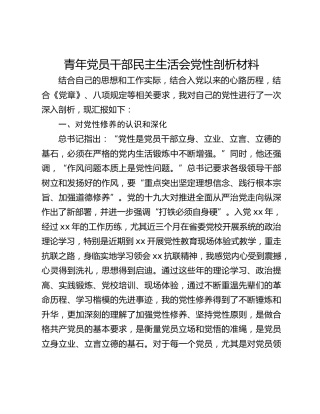 青年党员干部民主生活会党性剖析材料