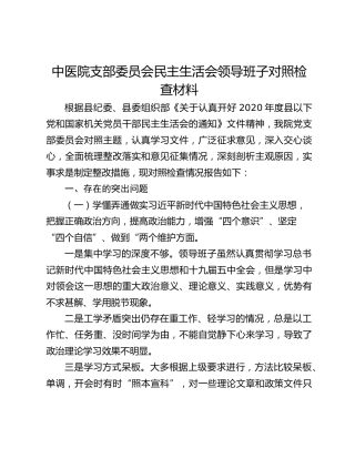 中医院支部委员会民主生活会领导班子对照检查材料