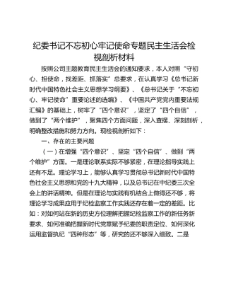 纪委书记不忘初心牢记使命专题民主生活会检视剖析材料