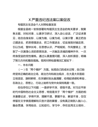 X严重违纪违法案以案促改 专题民主生活会个人对照检查发言