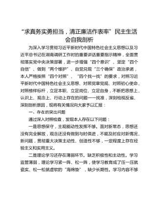 “求真务实勇担当，清正廉洁作表率”民主生活会自我剖析