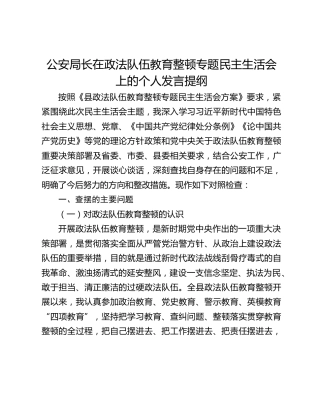 政法队伍教育整顿专题民主生活会上的个人发言提纲