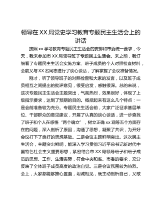 领导在XX局党史学习教育专题民主生活会上的讲话