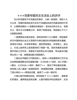 ×××党委专题民主生活会上的讲评