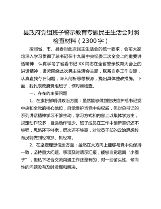 县政府党组班子警示教育专题民主生活会对照检查材料
