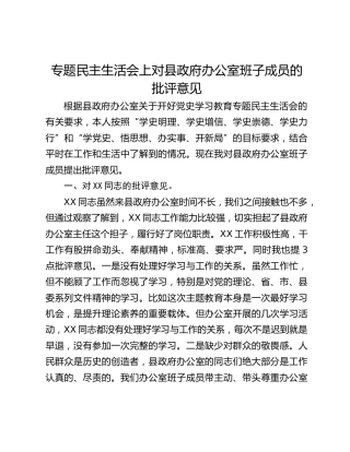 专题民主生活会上对县政府办公室班子成员的批评意见