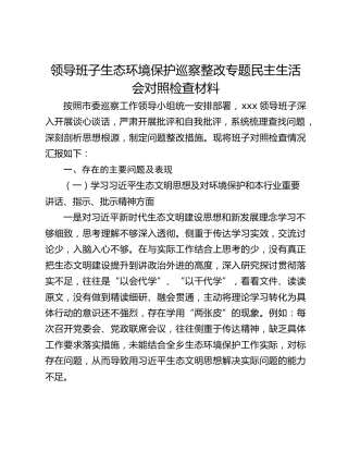 领导班子生态环境保护巡察整改专题民主生活会对照检查材料