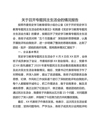 关于召开专题民主生活会的情况报告