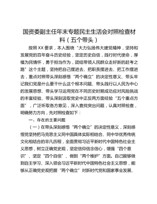 国资委副主任年末专题民主生活会对照检查材料（五个带头）