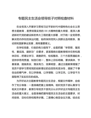 专题民主生活会领导班子对照检查材料