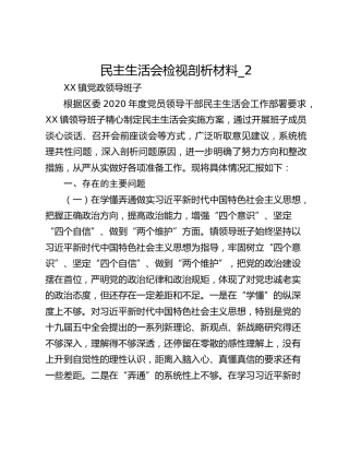 民主生活会检视剖析材料_2