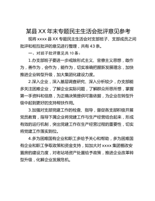 某县XX年末专题民主生活会批评意见参考