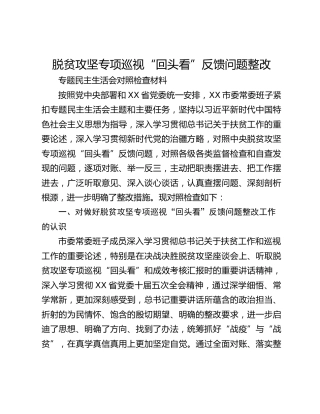 脱贫攻坚专项巡视“回头看”反馈问题整改 专题民主生活会对照检查材料_2