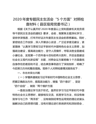 2020年度专题民主生活会“5个方面”对照检查材料（县区级局党委书记）