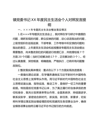 镇党委书记XX年度民主生活会个人对照发言提纲