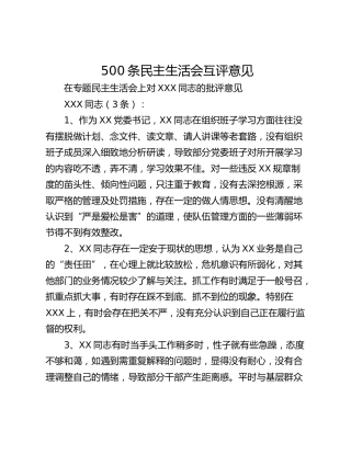 500条民主生活会互评意见