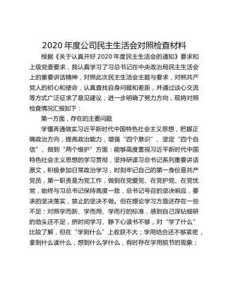 2020年度公司民主生活会对照检查材料