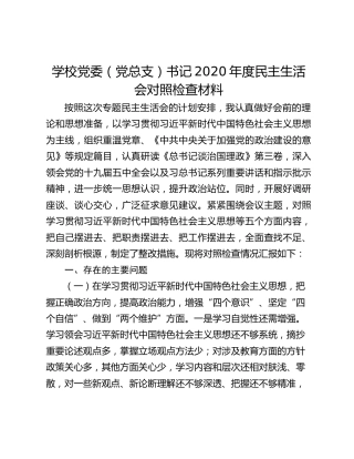 学校党委（党总支）书记2020年度民主生活会对照检查材料