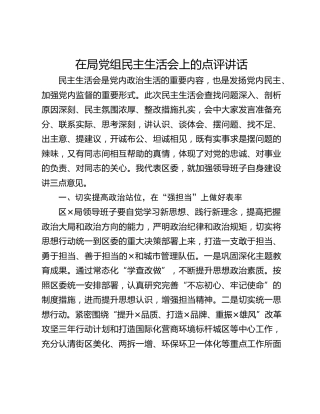 在局党组民主生活会上的点评讲话