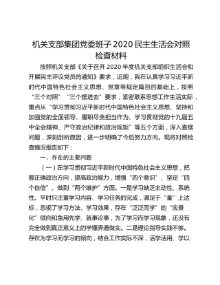 机关支部集团党委班子2020民主生活会对照检查材料