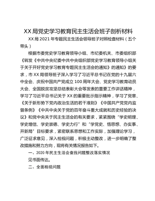 XX局党史学习教育民主生活会班子剖析材料