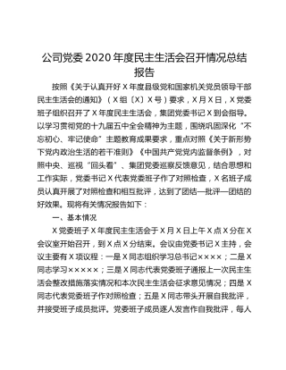 公司党委2020年度民主生活会召开情况总结报告