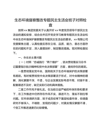 生态环境督察整改专题民主生活会班子对照检查