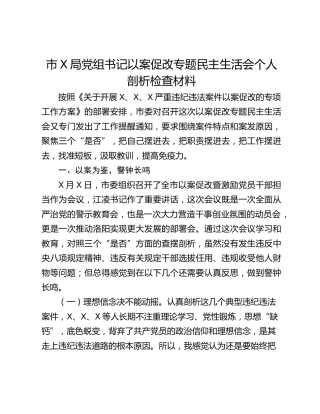 市X局党组书记以案促改专题民主生活会个人剖析检查材料