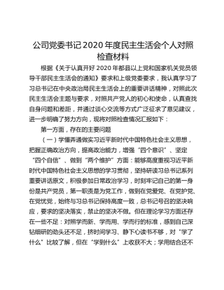 公司党委书记2020年度民主生活会个人对照检查材料