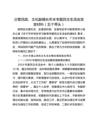 分管民政、文化副镇长年末专题民主生活会发言材料（五个带头）