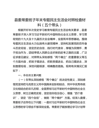 县委常委班子年末专题民主生活会对照检查材料（五个带头）