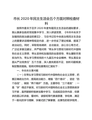 市长2020年民主生活会五个方面对照检查材料