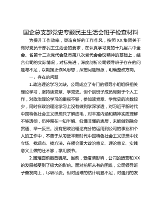 国企总支部党史专题民主生活会班子检查材料