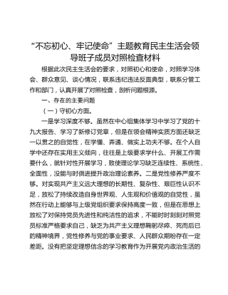 “不忘初心、牢记使命”主题教育民主生活会领导班子成员对照检查材料（领导班子成员）