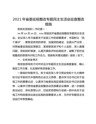 2021年省委巡视整改专题民主生活会巡查整改措施