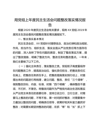 局党组上年度民主生活会问题整改落实情况报告