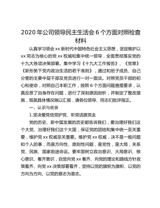 2020年公司领导民主生活会6个方面对照检查材料