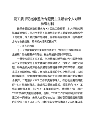 党工委书记巡察整改专题民主生活会个人对照检查材料