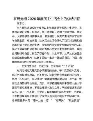 在局党组2020年度民主生活会上的总结讲话